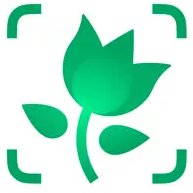 PictureThis Logo